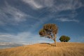 Urambi Hills_140